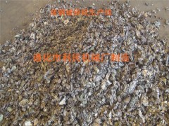 天津生铁屑破碎机详情、熟铁屑破碎机简介图3